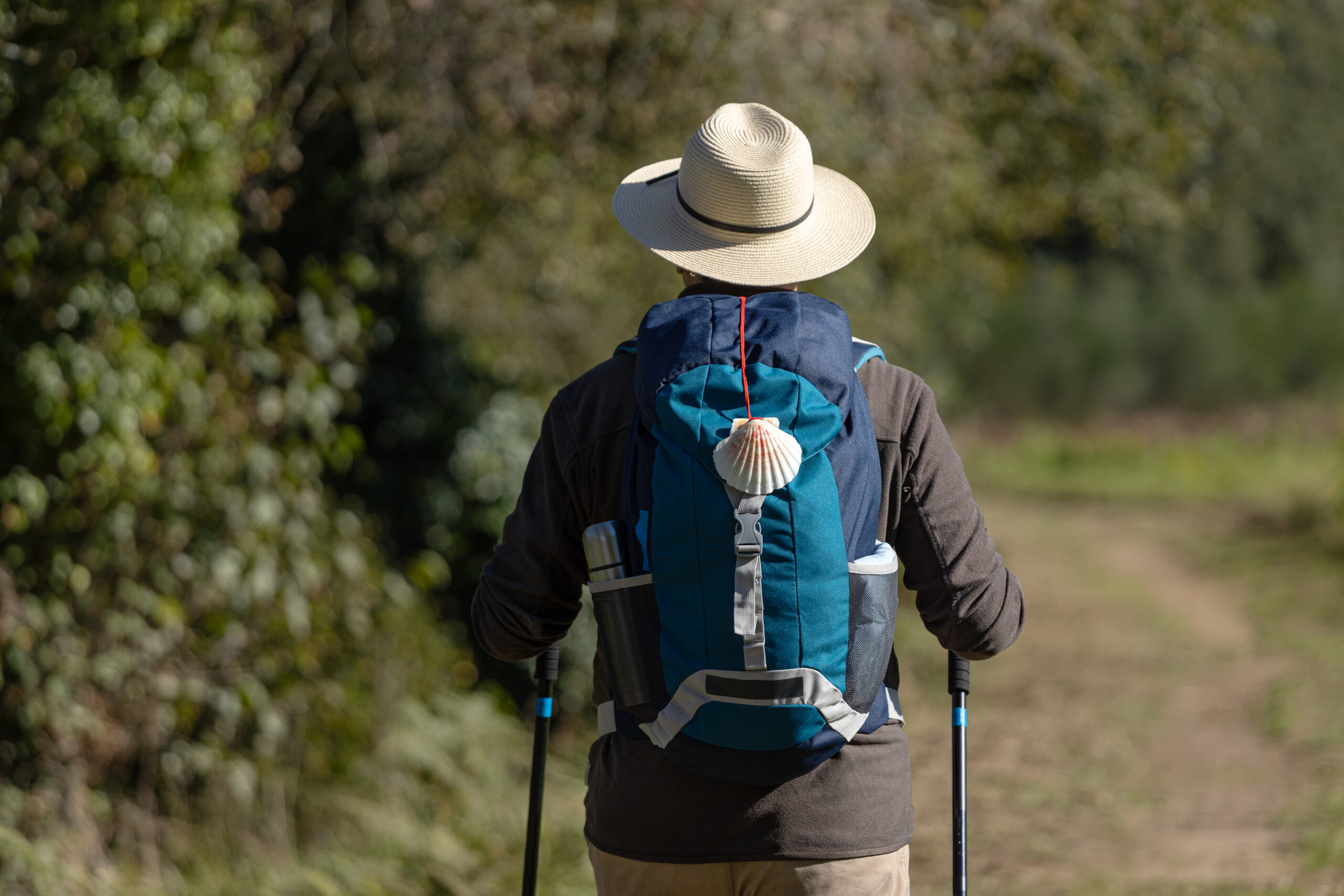 Wandelen in de natuur tijdens Wandelvasten